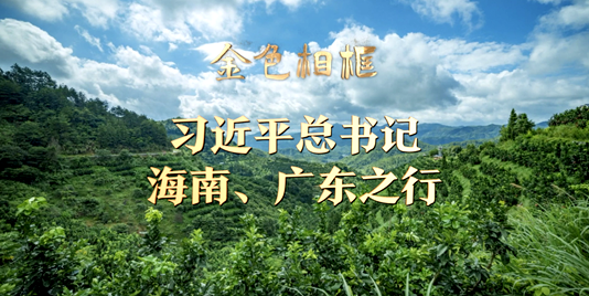金色相框丨习近平总书记海南、广东之行